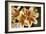 Vanilla Lily I-Maureen Love-Framed Premium Photographic Print