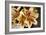 Vanilla Lily I-Maureen Love-Framed Photographic Print