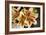 Vanilla Lily I-Maureen Love-Framed Photographic Print