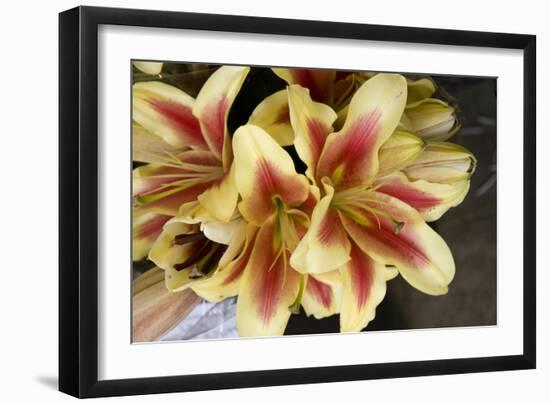 Vanilla Lily I-Maureen Love-Framed Photographic Print