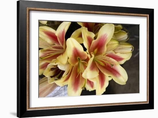 Vanilla Lily I-Maureen Love-Framed Photographic Print