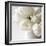 Vanishing in the White Elegance Square-Sarah Gardner-Framed Photo