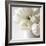 Vanishing in the White Elegance Square-Sarah Gardner-Framed Photo