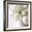 Vanishing in the White Elegance Square-Sarah Gardner-Framed Photo