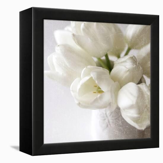 Vanishing in the White Elegance Square-Sarah Gardner-Framed Stretched Canvas