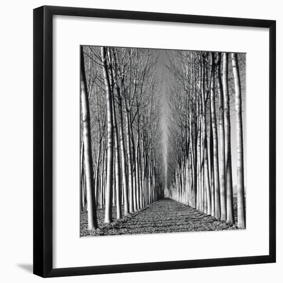 Vanishing Point-Hakan Strand-Framed Giclee Print