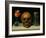 Vanitas, allegory of fleeting time with skull and hour-glass. Oil on canvas.-Philippe De Champaigne-Framed Giclee Print