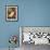 Vanitas Still Life-Edwaert Collier-Framed Giclee Print displayed on a wall