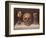 Vanité-Philippe De Champaigne-Framed Giclee Print