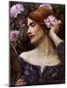 Vanity (Vanitas)-John William Waterhouse-Mounted Giclee Print