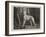 Vanity-John Charlton-Framed Giclee Print