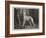 Vanity-John Charlton-Framed Giclee Print