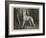 Vanity-John Charlton-Framed Giclee Print