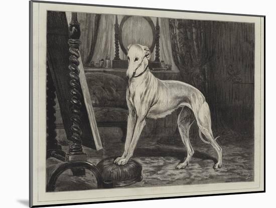 Vanity-John Charlton-Mounted Giclee Print