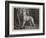 Vanity-John Charlton-Framed Giclee Print