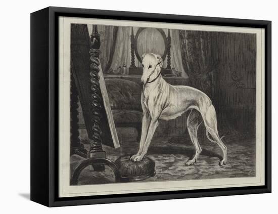 Vanity-John Charlton-Framed Premier Image Canvas