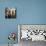 Vanloo: Three Graces-Carle Vanloo-Giclee Print displayed on a wall