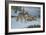 Vantage Point Wolves-Bruce Dumas-Framed Giclee Print