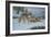 Vantage Point Wolves-Bruce Dumas-Framed Giclee Print