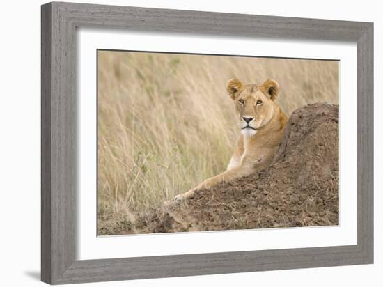 Vantage Point-Susann Parker-Framed Photographic Print