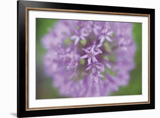 Vapor-Chris Dunker-Framed Giclee Print