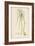 Var. Complanatum Field Garlic-John Edward Sowerby-Framed Art Print