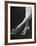 Varga Girls from Dubarry Was a Lady, Ankles of Hazel Brooks-Peter Stackpole-Framed Photographic Print