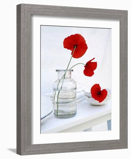 Variation in White-Amelie Vuillon-Framed Art Print