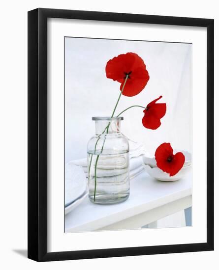 Variation in White-Amelie Vuillon-Framed Art Print