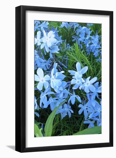 Variations in Blue II-Monika Burkhart-Framed Photo