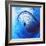 Variations on a Circle 12-Philippe Sainte-Laudy-Framed Photographic Print