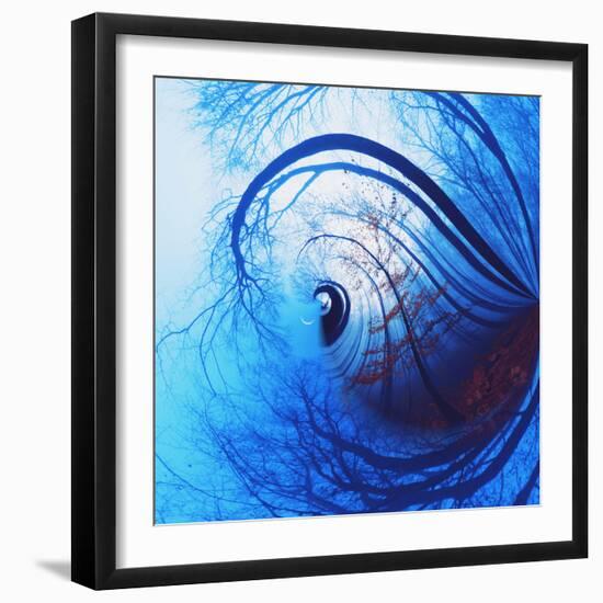 Variations on a Circle 12-Philippe Sainte-Laudy-Framed Photographic Print