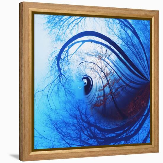 Variations on a Circle 12-Philippe Sainte-Laudy-Framed Premier Image Canvas