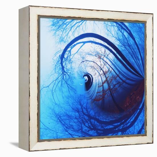 Variations on a Circle 12-Philippe Sainte-Laudy-Framed Premier Image Canvas