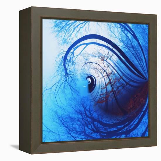 Variations on a Circle 12-Philippe Sainte-Laudy-Framed Premier Image Canvas