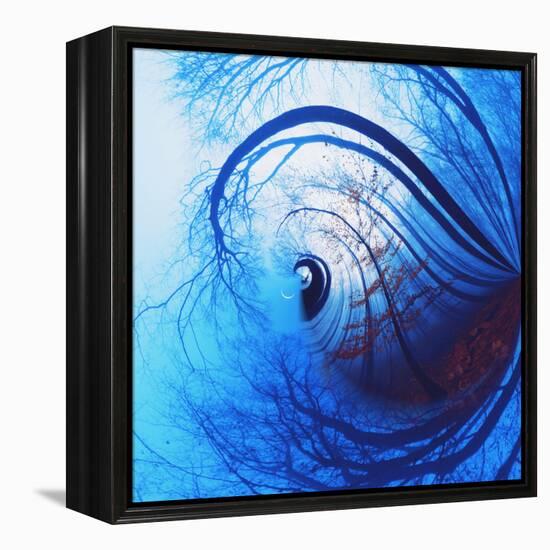 Variations on a Circle 12-Philippe Sainte-Laudy-Framed Premier Image Canvas