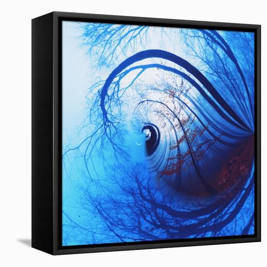 Variations on a Circle 12-Philippe Sainte-Laudy-Framed Premier Image Canvas