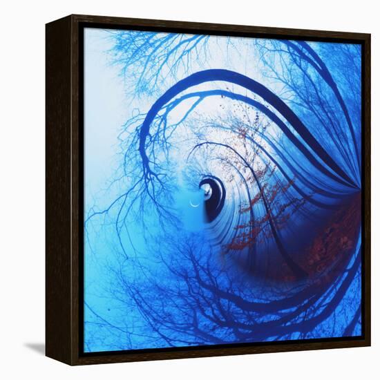 Variations on a Circle 12-Philippe Sainte-Laudy-Framed Premier Image Canvas