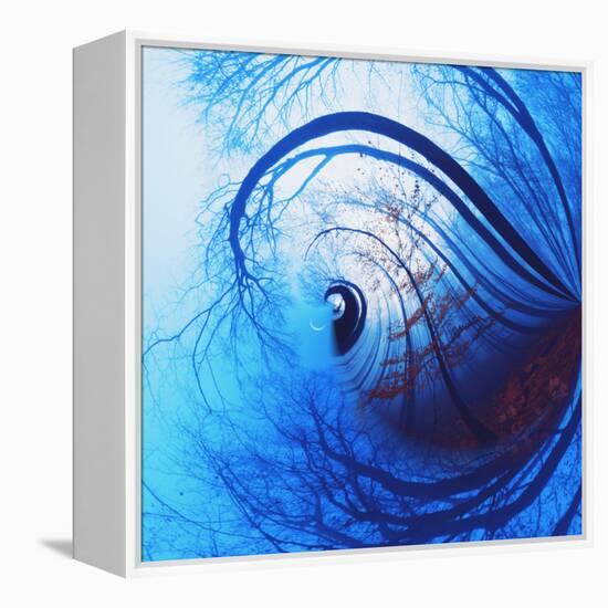 Variations on a Circle 12-Philippe Sainte-Laudy-Framed Premier Image Canvas