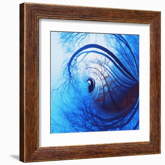 Variations on a Circle 12-Philippe Sainte-Laudy-Framed Premium Photographic Print