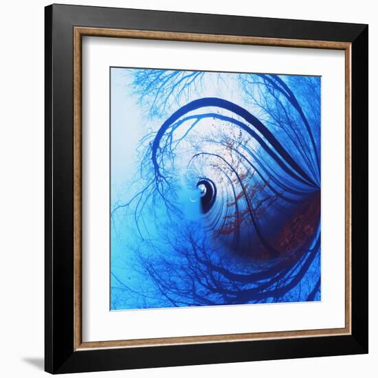 Variations on a Circle 12-Philippe Sainte-Laudy-Framed Premium Photographic Print