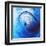 Variations on a Circle 12-Philippe Sainte-Laudy-Framed Premium Photographic Print