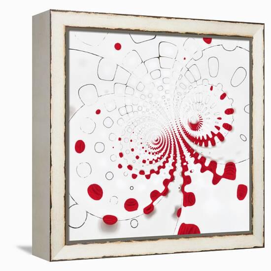 Variations on a Circle 17-Philippe Sainte-Laudy-Framed Premier Image Canvas