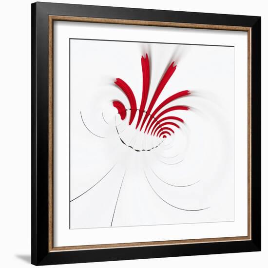 Variations on a Circle 18-Philippe Sainte-Laudy-Framed Photographic Print