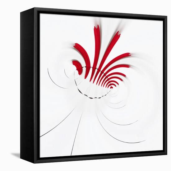 Variations On A Circle 18-Philippe Sainte-Laudy-Framed Premier Image Canvas