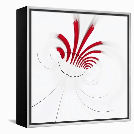 Variations On A Circle 18-Philippe Sainte-Laudy-Framed Premier Image Canvas