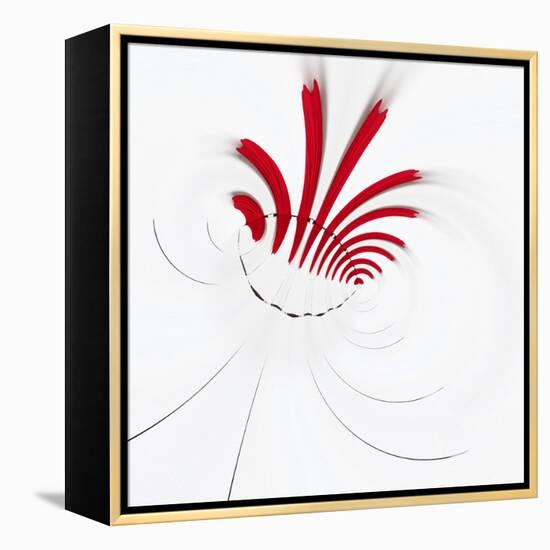 Variations On A Circle 18-Philippe Sainte-Laudy-Framed Premier Image Canvas
