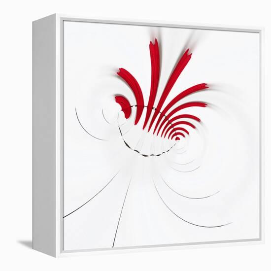 Variations On A Circle 18-Philippe Sainte-Laudy-Framed Premier Image Canvas