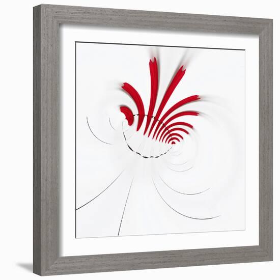 Variations On A Circle 18-Philippe Sainte-Laudy-Framed Photographic Print
