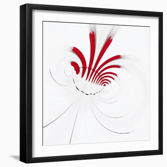 Variations On A Circle 18-Philippe Sainte-Laudy-Framed Photographic Print